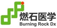 Burning Rock Biotech Limited