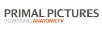 Primal Pictures
