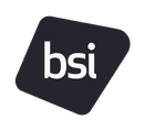 BSI Consulting