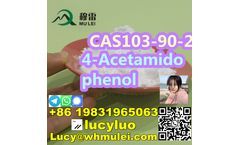 Raw Material CAS 103-90-2 Panadol Acetaminophen Paracetamol