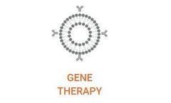 Liposomes - Hollow Nanospheres for Gene Therapy