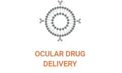 Liposomes - Hollow Nanospheres for Ocular Drug Delivery