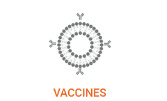 Liposomes - Hollow Nanospheres for Vaccines