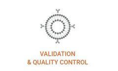 Exosomes - Extracellular Vesicles for Validation and Quality Control