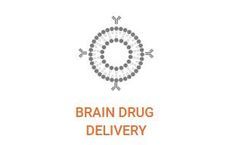 Exosomes - Extracellular Vesicles for Brain Drug Delivery