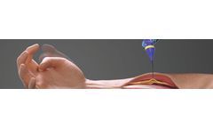 Healthy peripheral nervous system for intraoperative modeling sector
