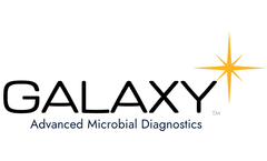 What is the difference between infection and disease?