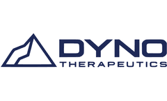 Introduction to AAV as a Gene Therapy Vector, Part 2