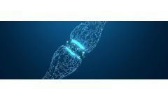 Wakix - Pitolisant Tablets for Rare Neurological Diseases