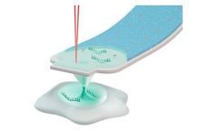 Single-cell omics with Live-seq