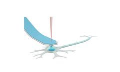 FluidFM for Neuroscience Pattern, stimulate, inject into, and analyze single neurons