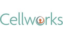 ASH 2022: Cellworks Biosimulation Study Reveals Biomarkers that Predict Response to Hypomethylating Agents and Patient Survival in MDS