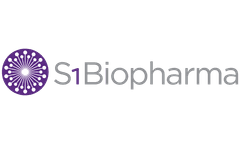S1 Biopharma Announces Expanded Analysis Of Phase 2A Data On Lorexys™ For Treatment Of Hypoactive Sexual Desire Disorder Based On Pgic Scale To Be Presented At 2019 Isswsh/Issm Joint Meeting