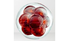 Albumin focused biotechnology solutions for cell therapy sector