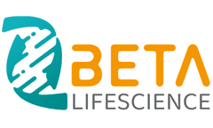 IL-2 and IL-2 Receptor Series: Pioneering Solutions for Immunotherapy Research