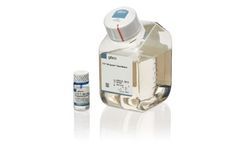 New Culture Medium Supports Expansion of Natural Killer Cells for Cell and Gene Therapies