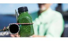 Algae toxins linked to brain diseases found in Florida