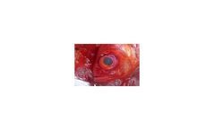 Mercury analysis solutions for food & beverage industry