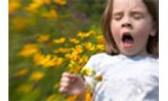 Road pollution blamed for higher allergy risk in children