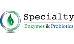 Antacids, Prescription Drugs or Digestive Enzymes? Your Best Bet for Better Digestion