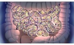MicrobioSeq`s Microbial Therapeutics: A New Opportunity for Medicine