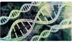 CD Genomics RNA Diversifies Its RNA Service Portfolio by Adding Whole Transcriptome Sequencing