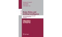 Brain, Vision, and Artificial Intelligence