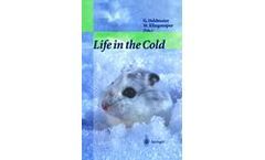Life in the Cold