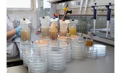 Clinical Diagnostics Technology for Food & Beverage
