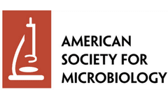 Fibrinogen induces biofilm formation by streptococcus suis and enhances its antibiotic resistance
