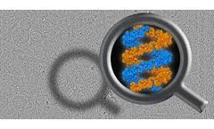 The Structure of Key Proteins in Parkinson`s Disease Solved
