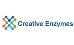Creative Enzymes Redefines Sustainability in Enzyme Innovation with Yeast-Fermented Vegan Collagen