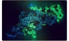 Classification and Biological Functions of Glycoproteins