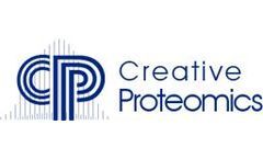Understanding Protein Ubiquitination and Cellular Health   