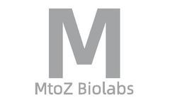 mRNA Capping Rate Detection