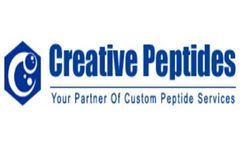 Calcium-like peptide 2