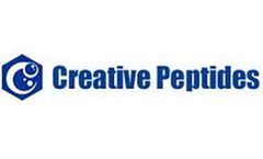 An Overview of Functional Peptides