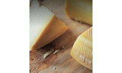 Analytical Instruments for Food Authenticity Applications